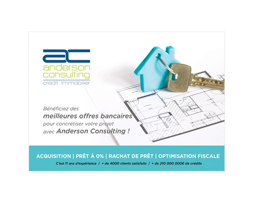 FLYER ANDERSON CONSULTING